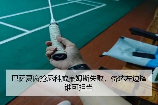 ba-sa-xia-chuang-qiang-ni-ke-wei-lian-mu-si-shi-bai-bei-xuan-zuo-bian-feng-shui-ke-dan-dang-3-629.jpg
